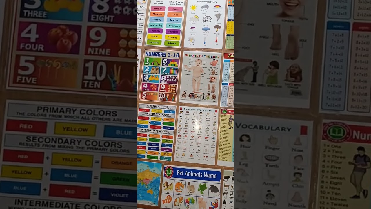 Laminated Wall Chart