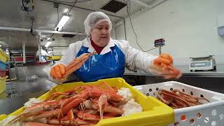 Daley Seafoods  What We Do