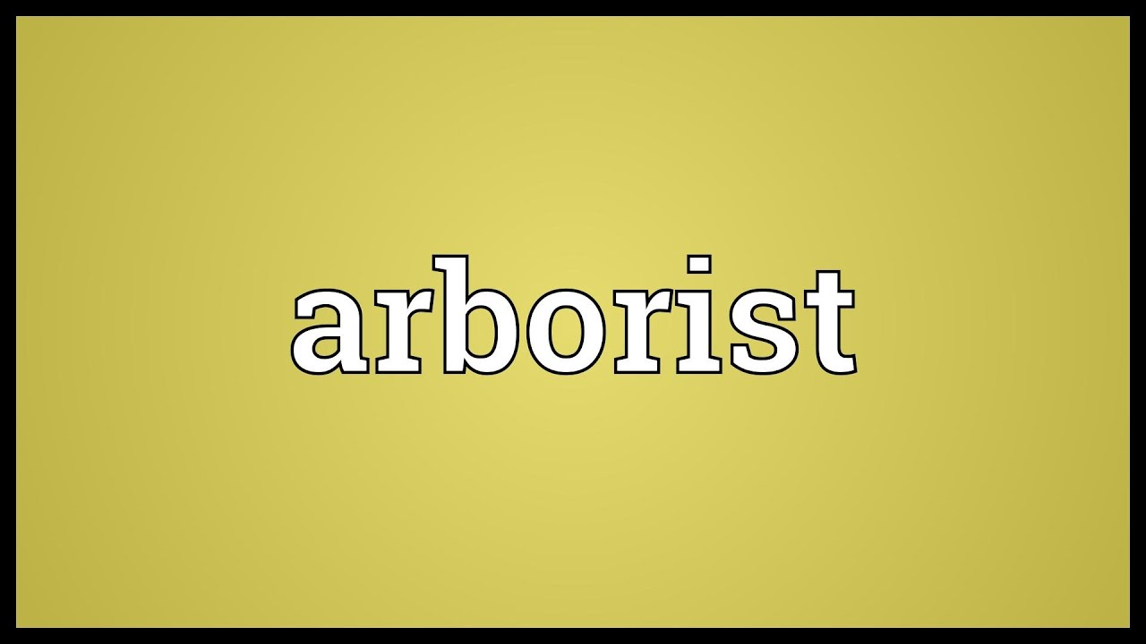 Arborist Meaning YouTube