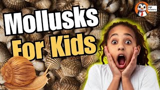 🌊 Mollusks for Kids: Fun Facts About Snails, Clams, & Octopuses