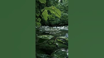تلاوة عطرة من سورة المائدة للقارئ ماهر المعيقلي #quran #قرآن #تلاوة_خاشعة #اذكروا_الله_يذكركم