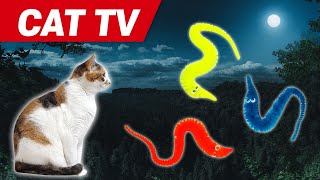 CAT Gmaesㅣvideos for cats to watch5Hours❤cat toy