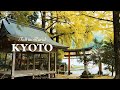 Autumn in the Countryside of KYOTO, Takao 🍁 | JAPAN TRAVEL VLOG