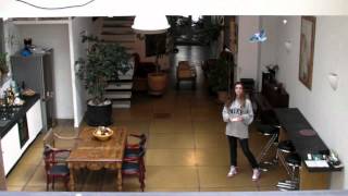 bionic remote bird controlled