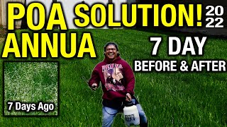 Finally a POA Annua Solution! 7 days before and after results! Watch till the end 🐇🥹