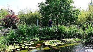 Modern Koi Blog #4692 - A water analysis of Sabine's koi pond