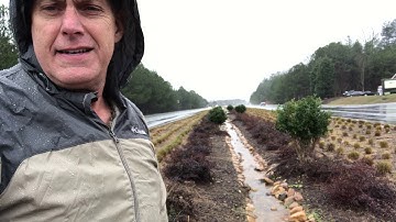 What is Green Infrastructure and What is a BioSwale