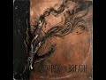 Copper and Breath
