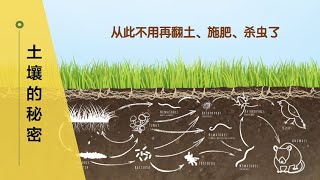 【土壤的秘密】72•园艺/一旦了解了土壤的秘密就能省钱省力，因为有人在勤勤恳恳地帮我们干活！