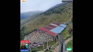 Sana Gelmek Istiyorum Resimi