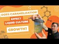 Does Caramelization Effect Liquid Culture Growth 
