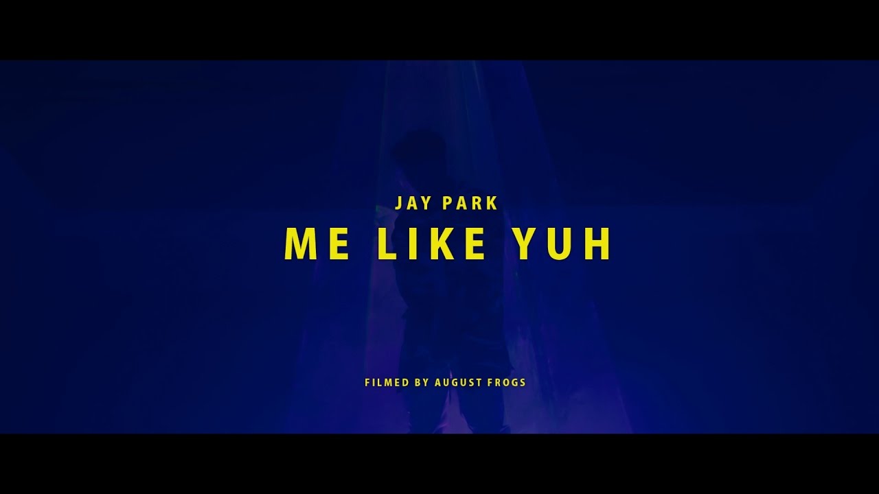 Jay Park's Blue Hair in "Me Like Yuh" Music Video - wide 8