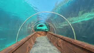 Underground Aquarium Atlantis, The Bahamas