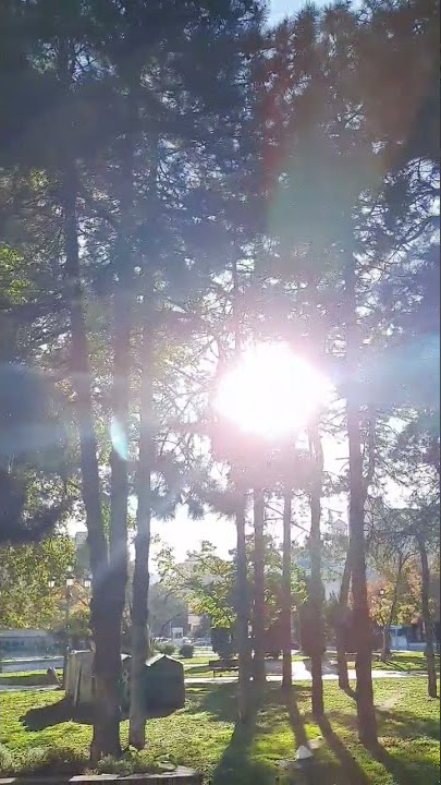 Shining sun 🌞🌞🌞