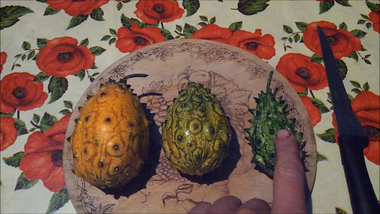 Кивано - выращивание, урожайность, дегустация. Мелано и рогатая дыня.