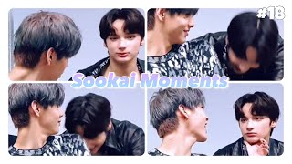 𝗦𝗼𝗼𝗸𝗮𝗶 𝗠𝗼𝗺𝗲𝗻𝘁𝘀 8 Sookai Love