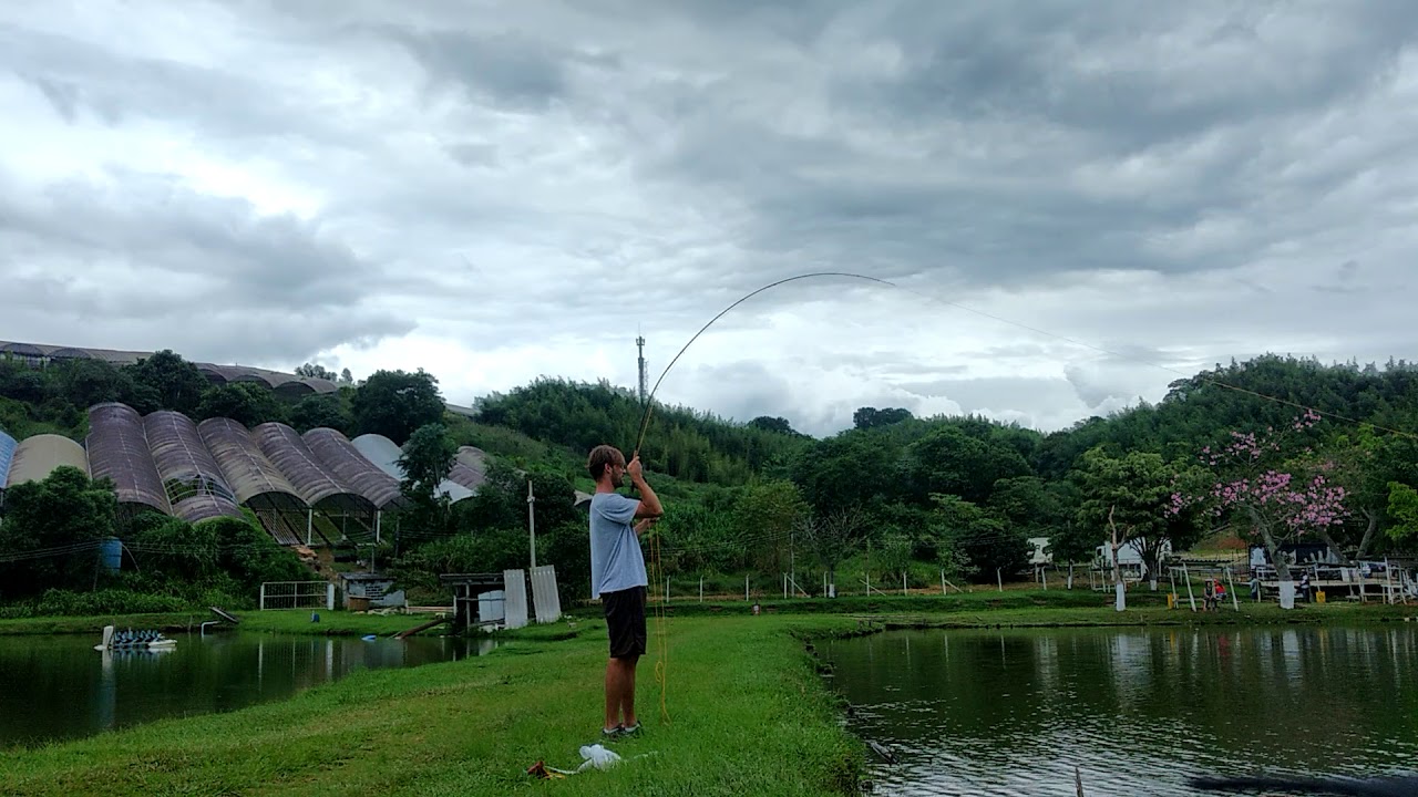 Na pegada do fly.. tilápia.. Dia top