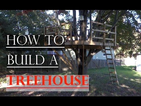 How to Build a Basic Treehouse