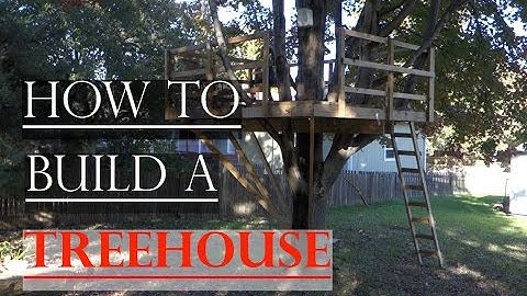 How to Build a Basic Treehouse