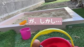 朝からお砂遊び
