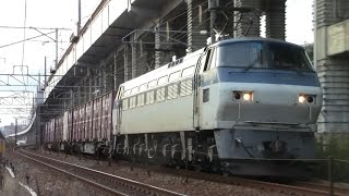 【山陽本線】JR貨物　EF66-101号機牽引　5056レ貨物列車