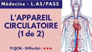 L'APPAREIL CIRCULATOIRE (1 de 2) - Médecine - L.AS/PASS - 11 QCM - Difficulté : ★★★