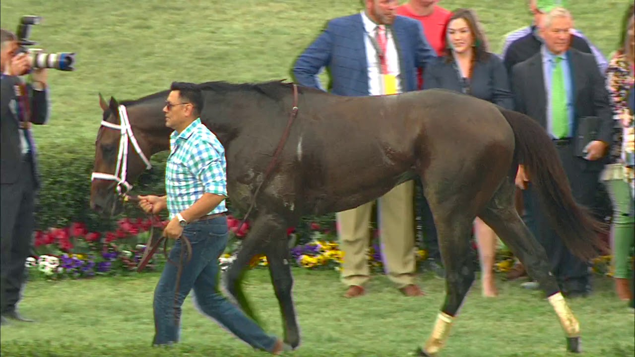 Robert and Lawana Low's thoroughbred Magnum Moon will likely be favored