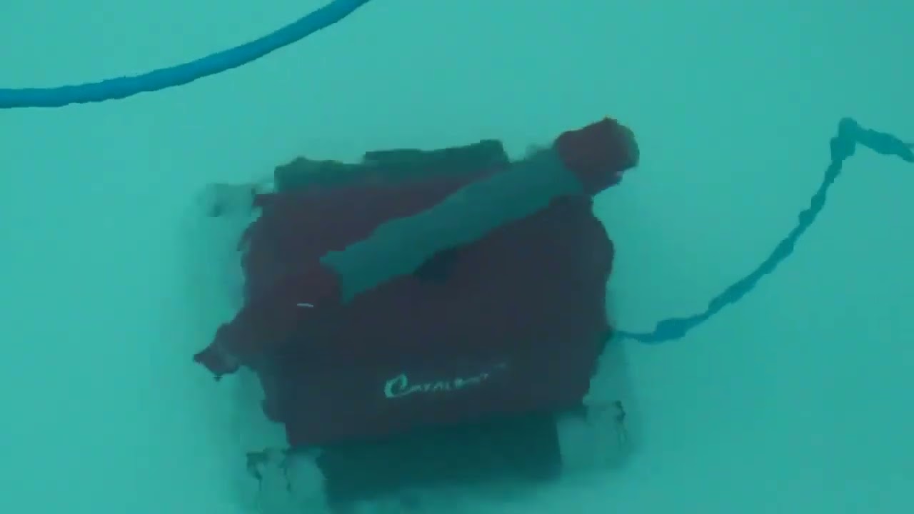 Dirt Devil Fusion X Pool Cleaner Interline 53140190