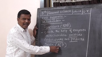 8th std, general sci, chapter 10, lecture 7 by prashant patki sir