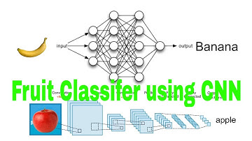 Fruit Classifier Convolutional Neural Network || AI || CNN|| Learn AI