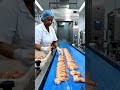 high tech shrimp processing plant from farm to frozen export
