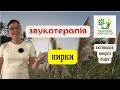 Звукотерапевтична практика для нирок.