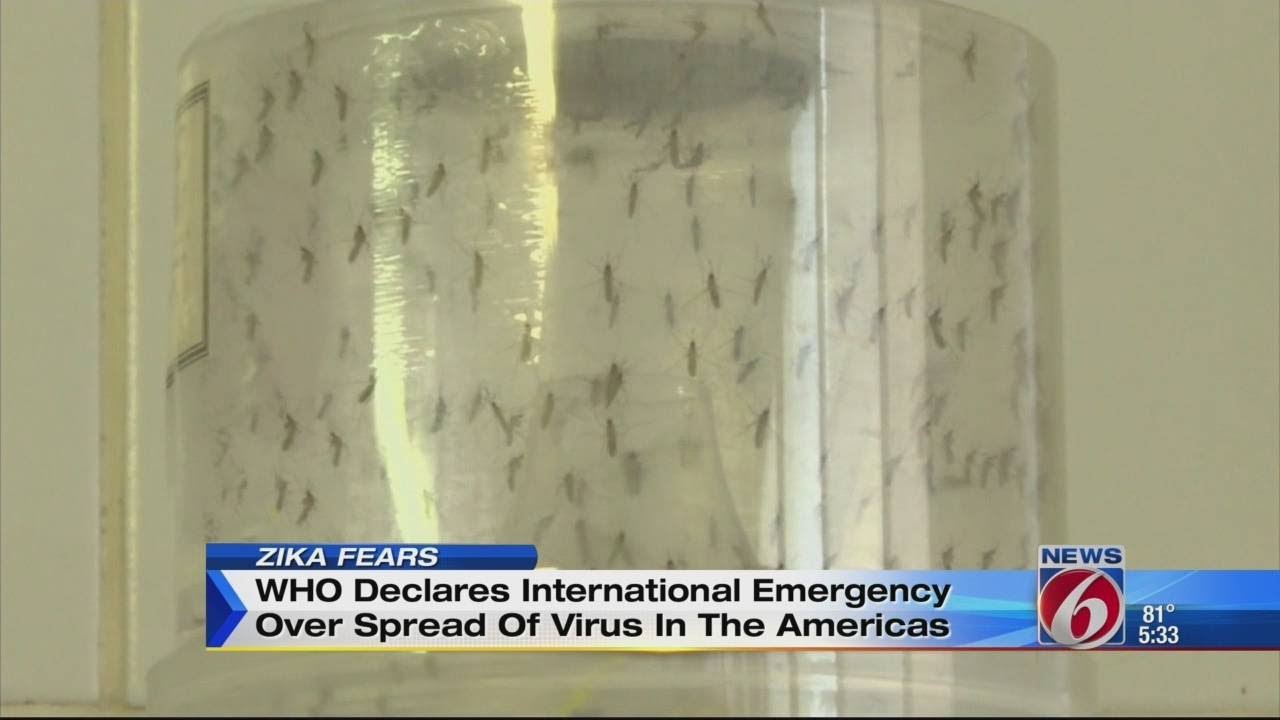 International emergency declared over spread of Zika virus in the ...