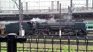 E231系1000番代とE257系2000番代とD51の共演