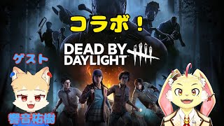 【DBD】可愛い狼さんとまったり？DBDコラボ！【ゲスト：響音祐樹】