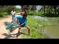 Best Net fishing | Big Fish Hunting With Cast net in  Pond Asian | Traditional Net Fishing