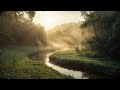 Best Smooth Jazz Sunset Vibes 🌅 Elegant Evening Jazz Lounge for Sleep and Focus