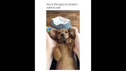 “Relatable AF Moments in 10 Seconds 😂”  #laughoutloud #memes #relatable