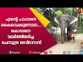 കൊമ്പനെ മലർത്തിയടിച്ച ചെമ്പൂത്ര ദേവിദാസൻ | E for Elephant | Chemboothra Devidasan Part 2 |Kairali TV