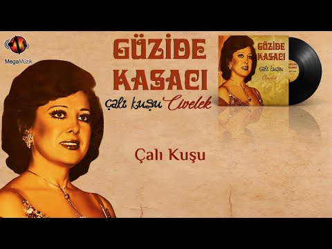 Güzide Kasacı - Çalıkuşu - Official Audio - 70ler