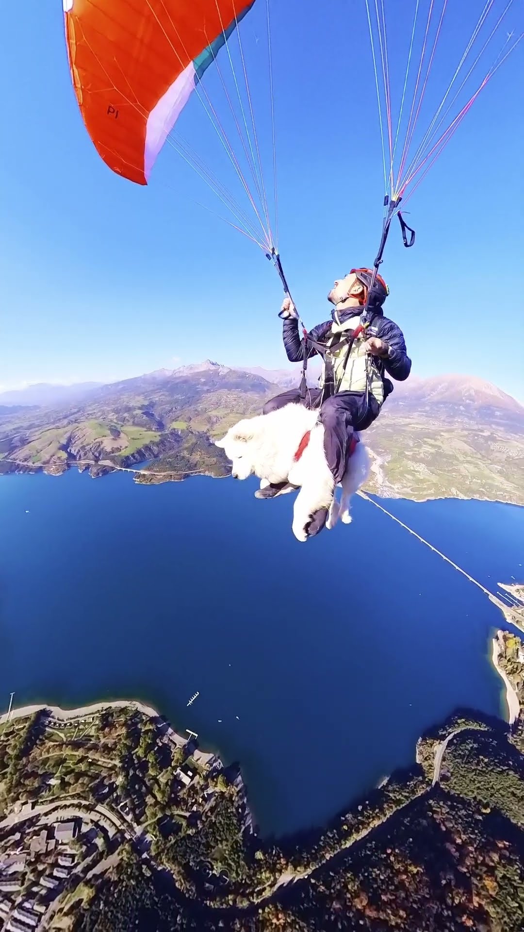 Man And Samoyed Paraglide Over French Alps || ViralHog