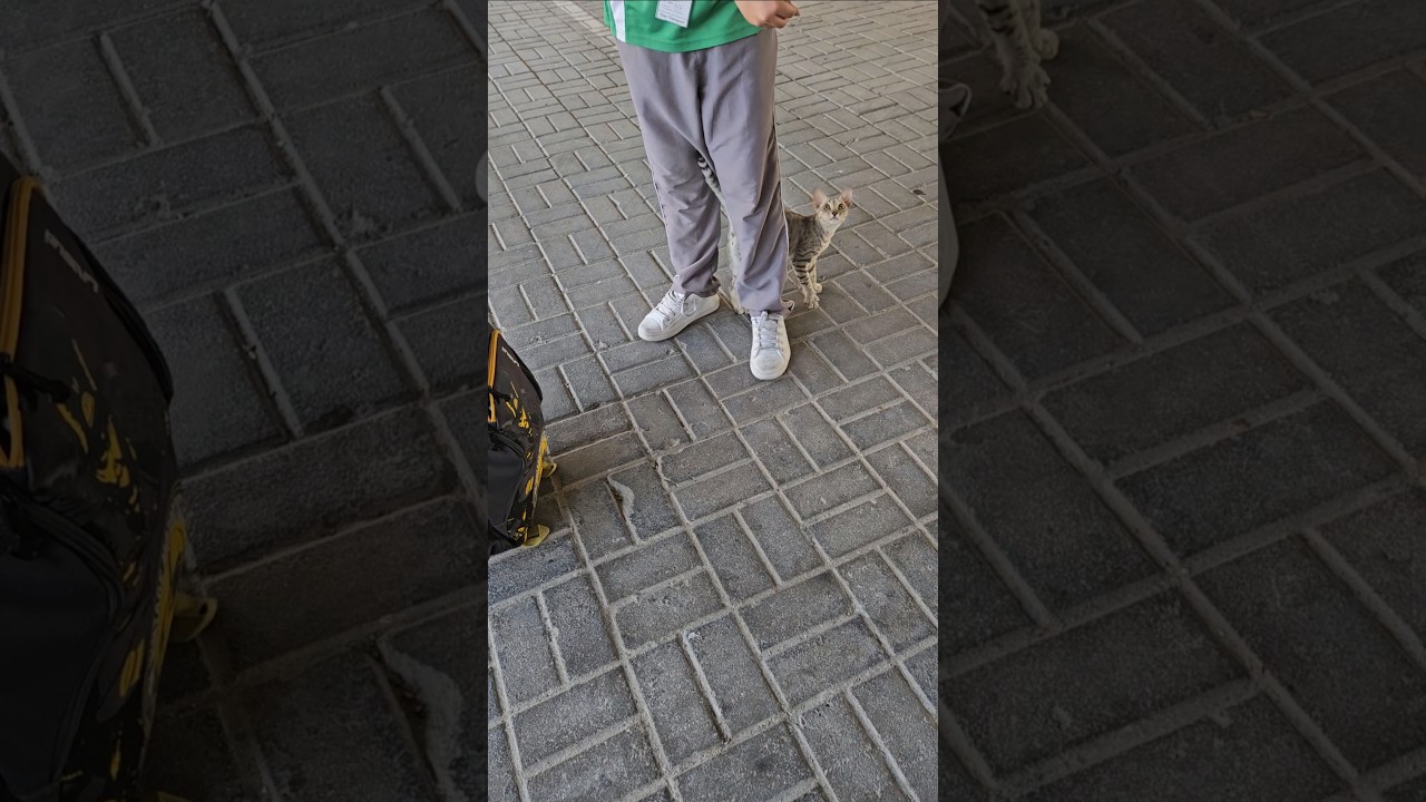 #shorts #short #shortsvideo #ytshorts #aaravpratap #youtubeshorts #shortvideo