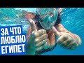 ОДНИ НА ПЛЯЖЕ / ОПАСНОЕ МОРЕ / СНОРКЛИНГ и РИФ отеля Stella Di Mare Beach Makadi 5* /  ЕГИПЕТ 2020