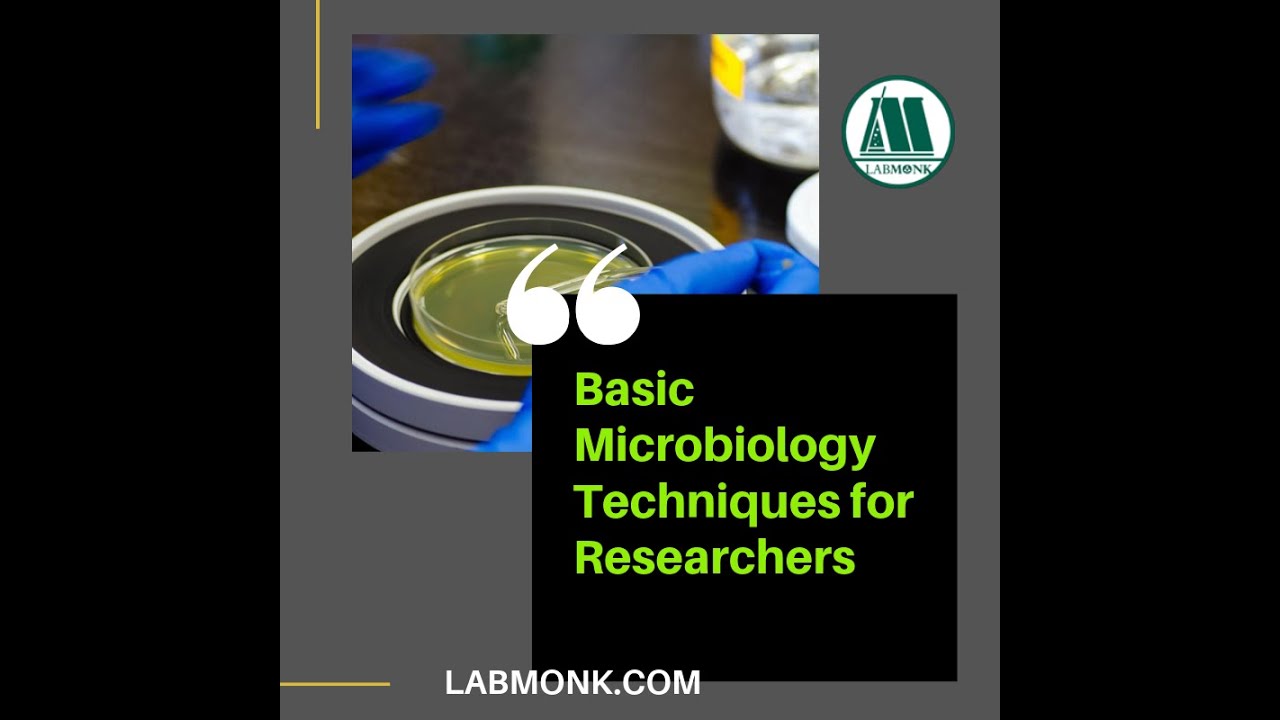 Basic Microbiology Techniques for Researchers I Learn with Labmonk