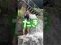 44万キロのタキの涙が流れる爆笑ソング💦#shorts