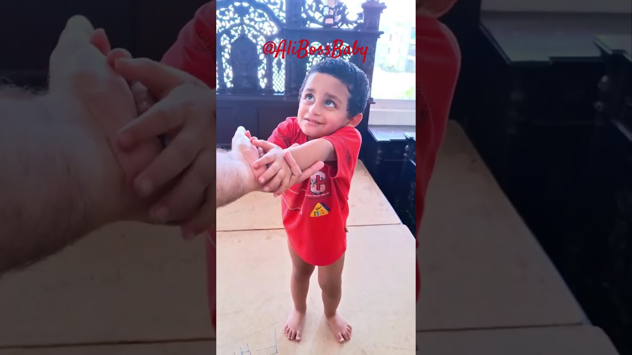 Милый хаос: Переизбыток радости ❤️😍 Приключения AléeAdee 