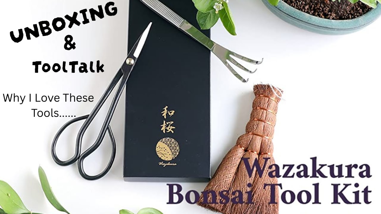 Обзор набора инструментов для японского бонсай Wazakura: стоит ли он своих денег?