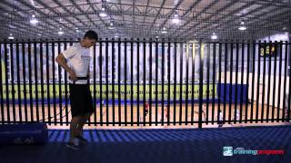 Sled Sprints