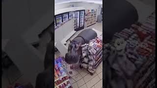 Hippo Strikes A Shop