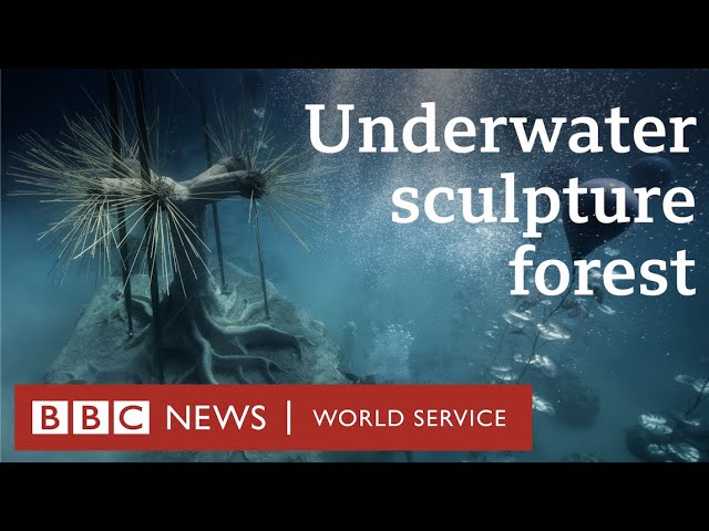 Underwater Sculptures Are Helping Rebuild Our Ocean's Coral Reefs